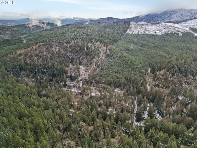 mountain view featuring a view of trees