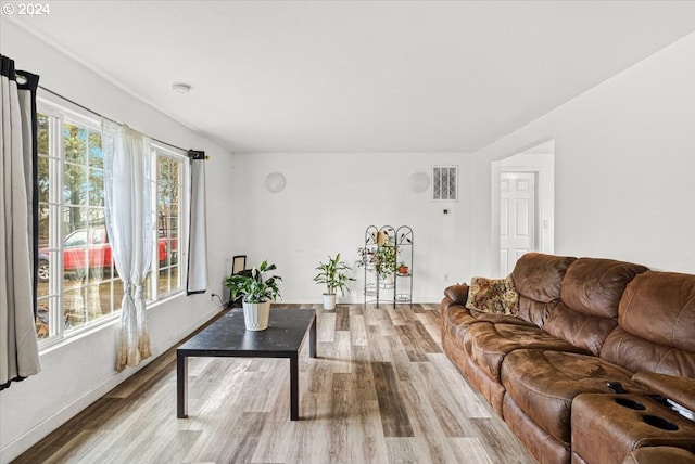 living room featuring light hardwood / wood-style flooring