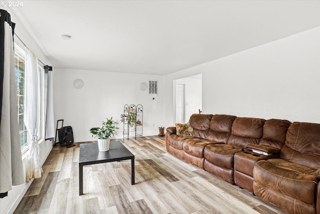 living room with light hardwood / wood-style floors and a wealth of natural light