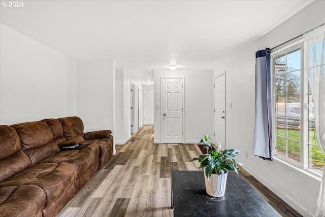 living room featuring wood-type flooring