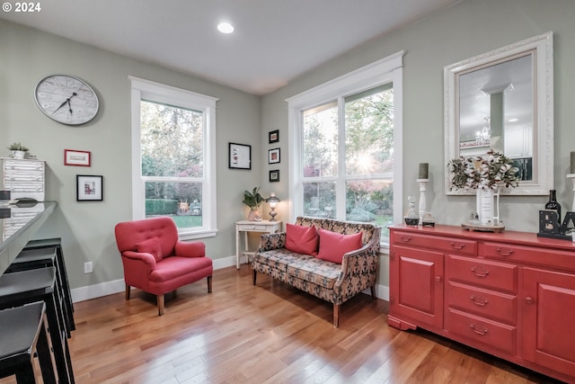 living area with light hardwood / wood-style floors and a wealth of natural light