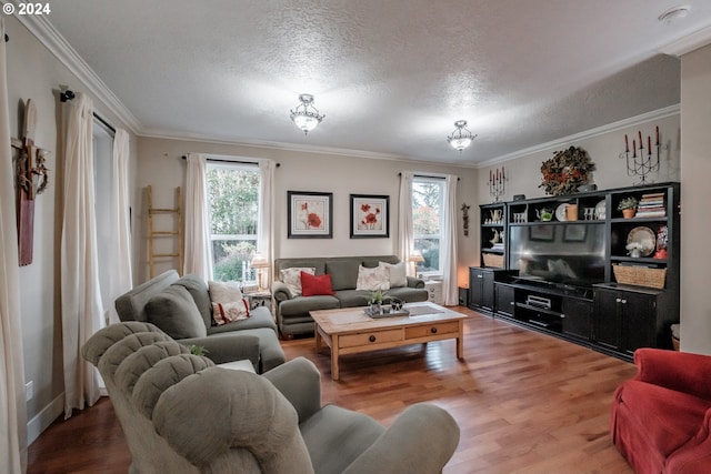 living room with crown molding, plenty of natural light, a textured ceiling, and hardwood / wood-style flooring