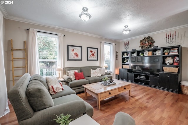 living room featuring hardwood / wood-style flooring, ornamental molding, and a textured ceiling