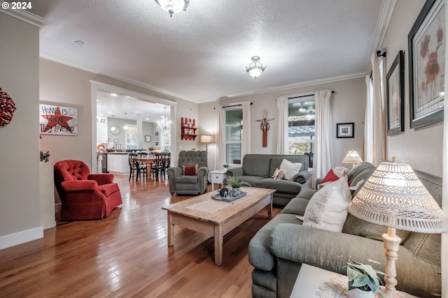 living room featuring a chandelier, a textured ceiling, hardwood / wood-style flooring, and crown molding