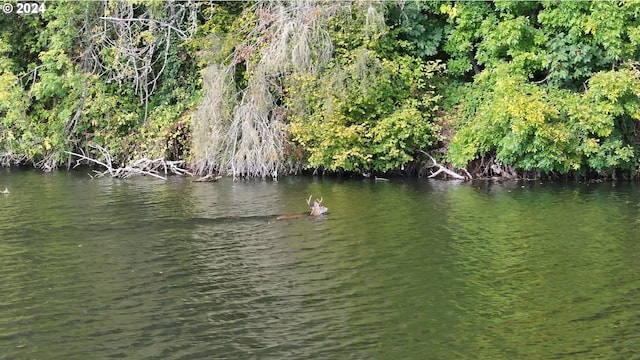 property view of water