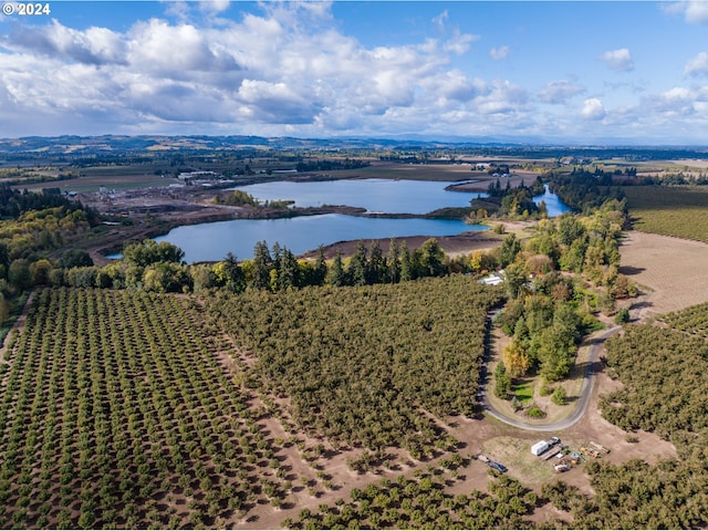 bird's eye view with a rural view and a water view