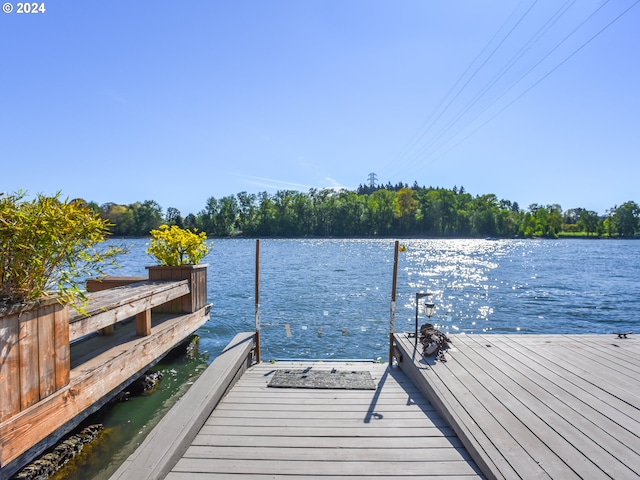 dock area featuring a water view