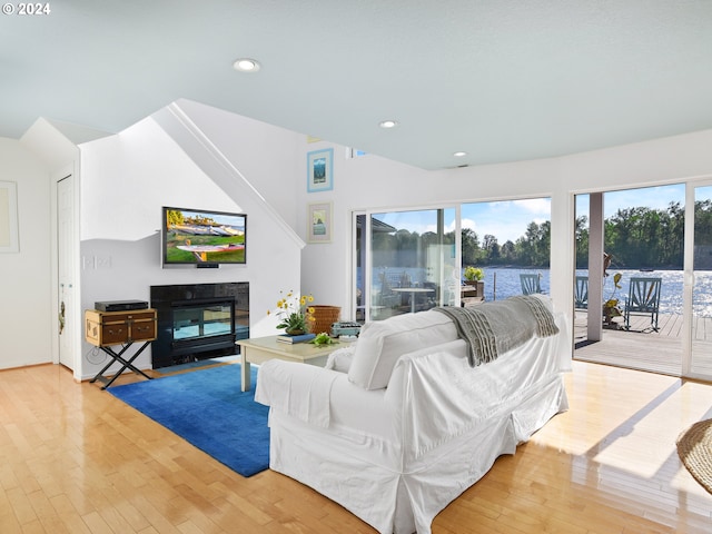 living room featuring light wood-type flooring