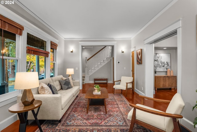 living room with crown molding and dark wood-type flooring