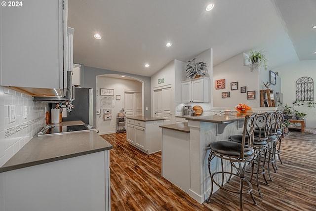 1843 Shelley Rd, Coquille, OR 97423 - kitchen with arched walkways, dark countertops, dark wood-style floors, decorative backsplash, and lofted ceiling