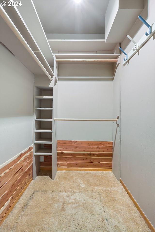 walk in closet with carpet floors