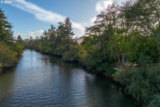 property view of water