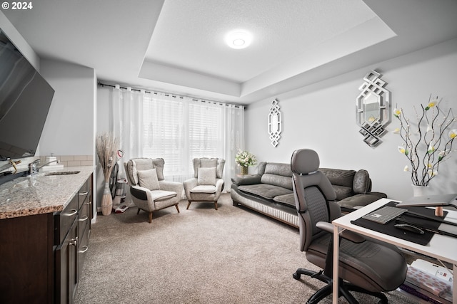 carpeted office with a tray ceiling and sink