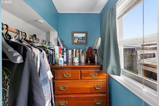 view of spacious closet