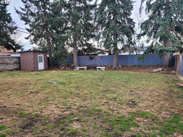 view of yard featuring a storage unit