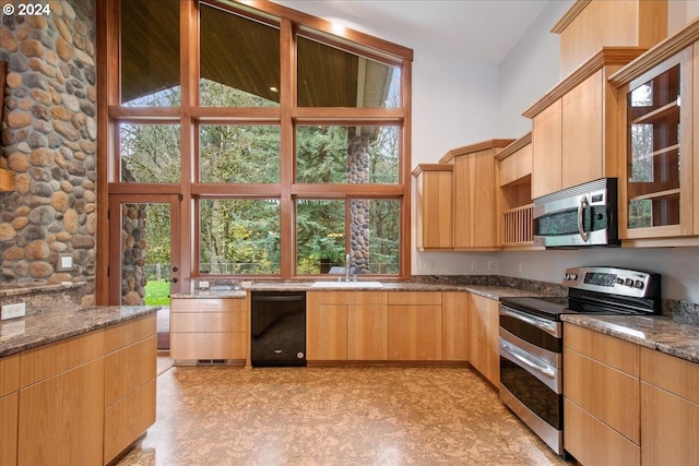 kitchen featuring stainless steel appliances, a healthy amount of sunlight, stone countertops, and light brown cabinets