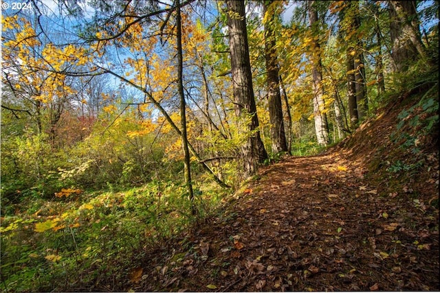 view of nature