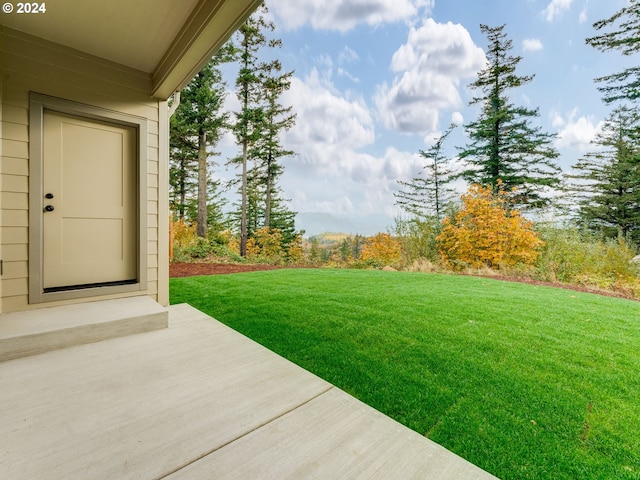 view of yard with a patio