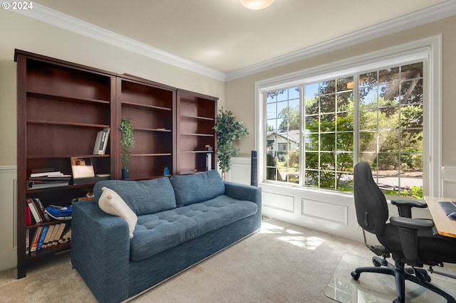 office space featuring carpet flooring and ornamental molding