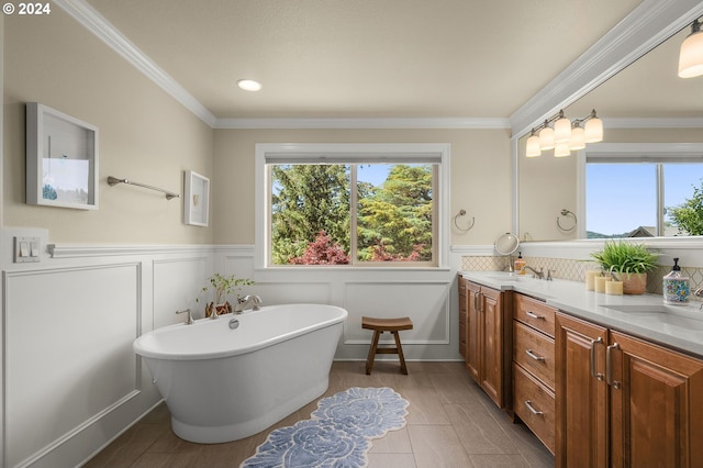 bathroom featuring crown molding, vanity, and a bathing tub