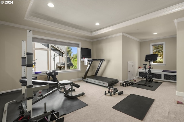 workout area featuring crown molding, a healthy amount of sunlight, a tray ceiling, and carpet flooring