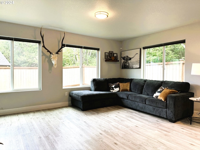 living room featuring light hardwood / wood-style flooring and a textured ceiling