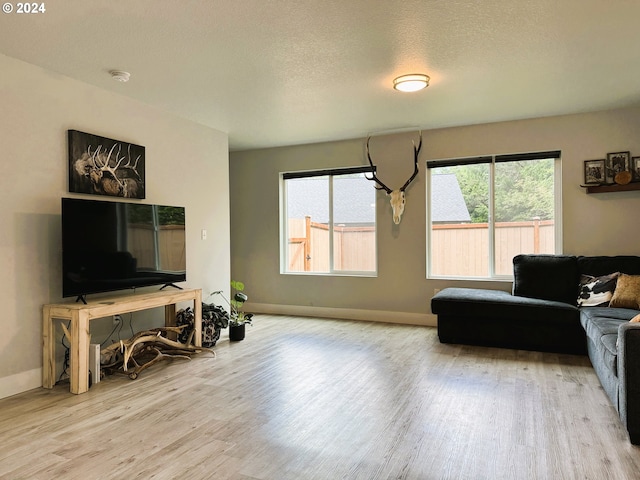 living room featuring wood-type flooring and a textured ceiling