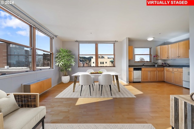 dining space with light hardwood / wood-style floors