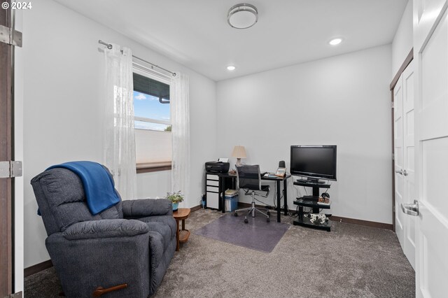 office featuring carpet flooring