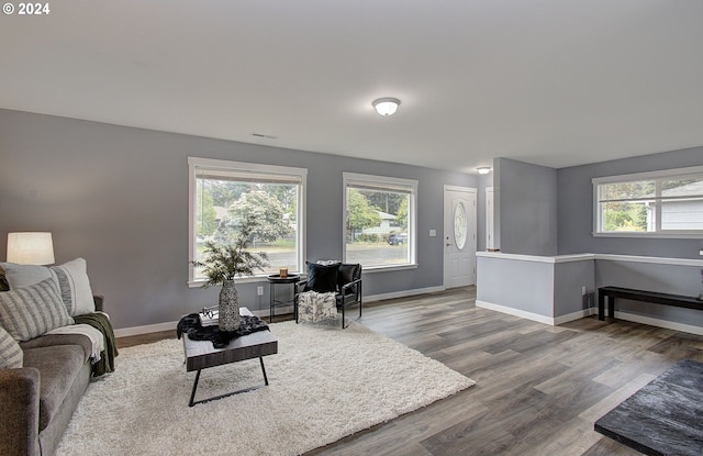 living room featuring hardwood / wood-style floors