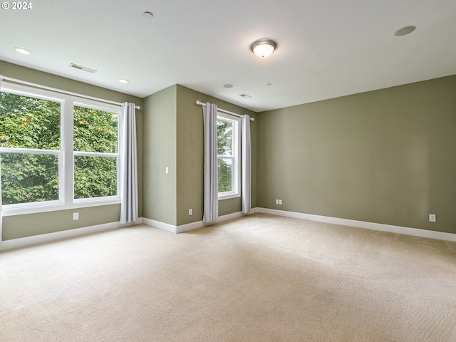 carpeted empty room with a healthy amount of sunlight