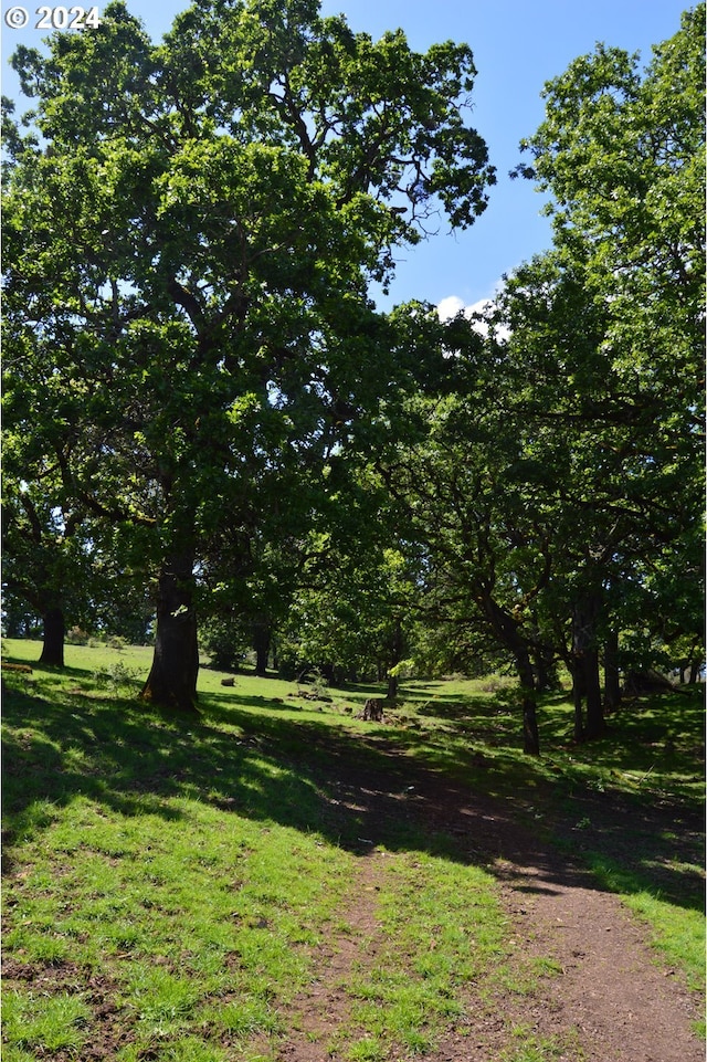 view of landscape