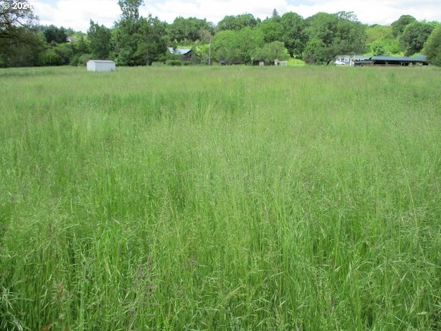 view of yard with a rural view