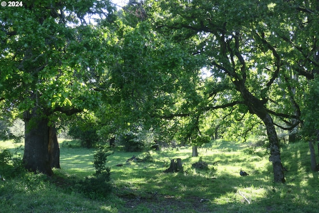 view of landscape