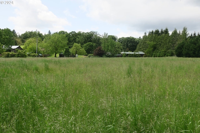 view of landscape featuring a rural view