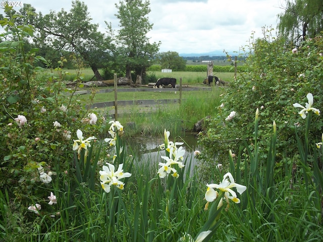 view of yard featuring a rural view