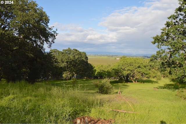 view of local wilderness with a rural view