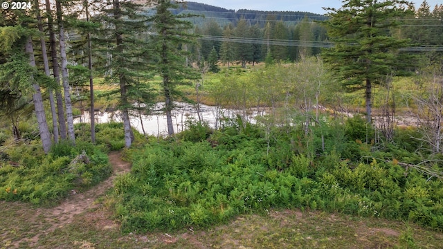 view of nature featuring a water view