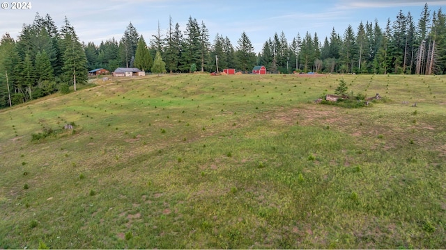 view of yard featuring a rural view