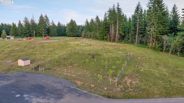 view of yard with a rural view and a shed