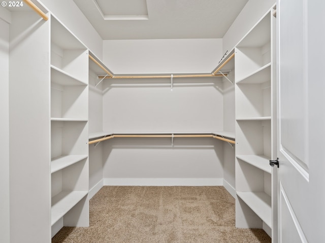 walk in closet featuring light carpet