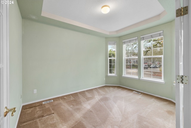 empty room featuring carpet flooring and a raised ceiling