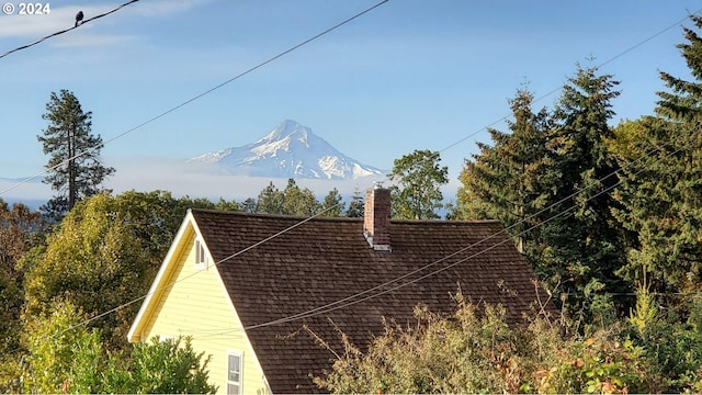 view of yard featuring a mountain view