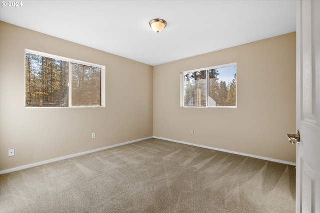 empty room featuring carpet floors