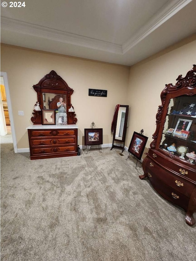 interior space with a tray ceiling and carpet flooring