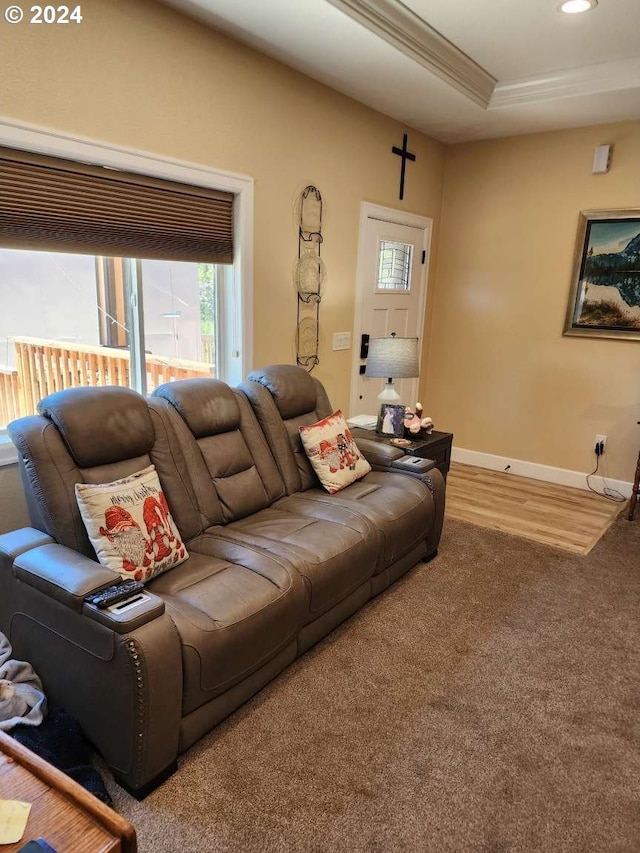 living room with wood-type flooring and a tray ceiling