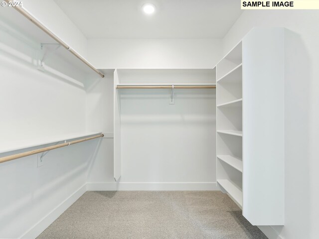 walk in closet with carpet