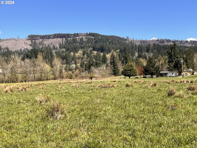 212th Ave, Battle Ground, WA 98604