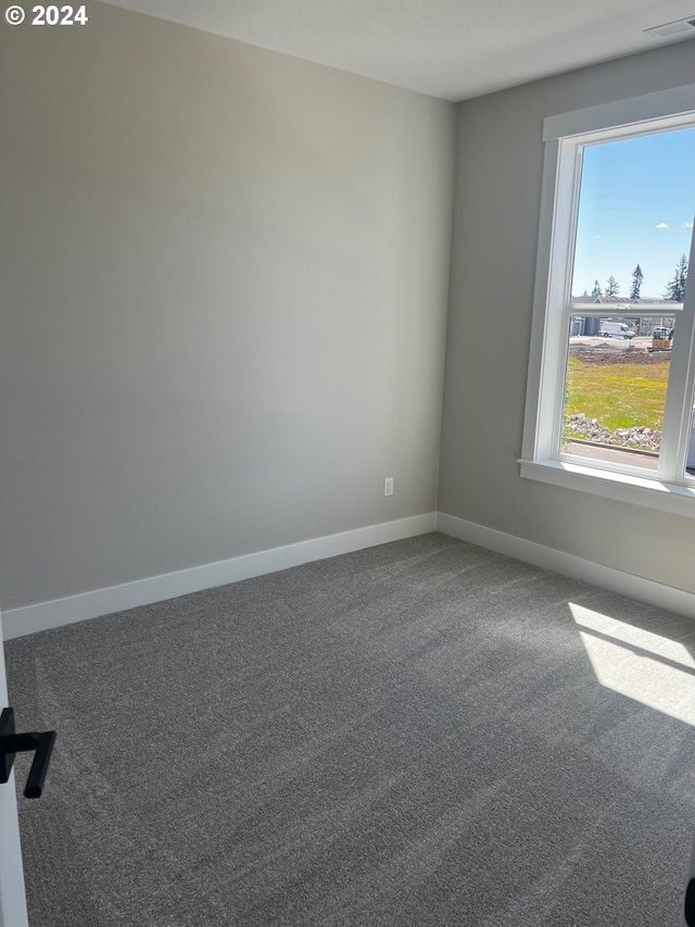 carpeted empty room featuring plenty of natural light