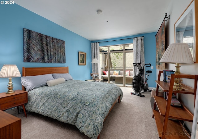 bedroom featuring carpet floors